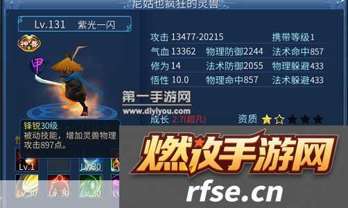 倩女幽魂宠物灵兽全攻略