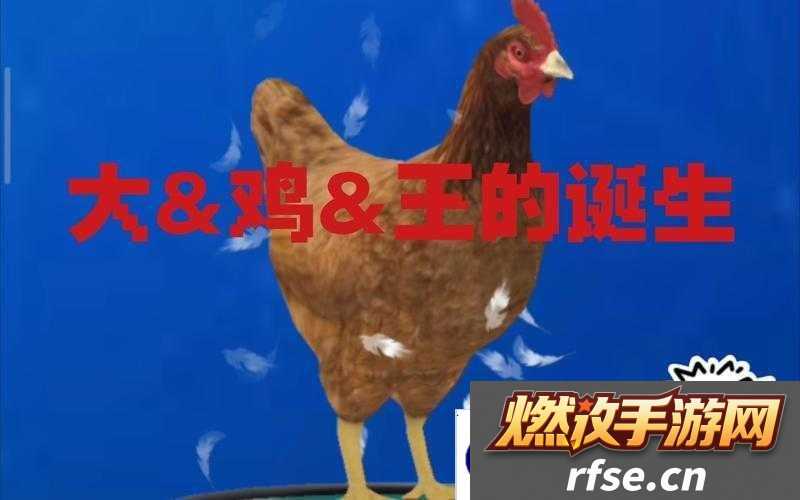 小森生活鸡王抓捕以及饲养方法介绍